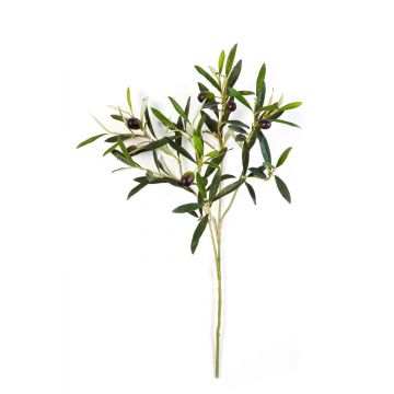 Ramo di olivo artificiale KONSTANTINOS, con frutti, verde, 50cm