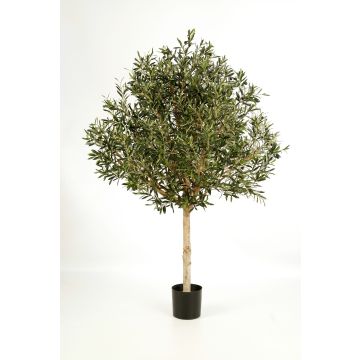 Olivo artificiale NIKOLAS, tronco naturale, frutti, verde, 150cm