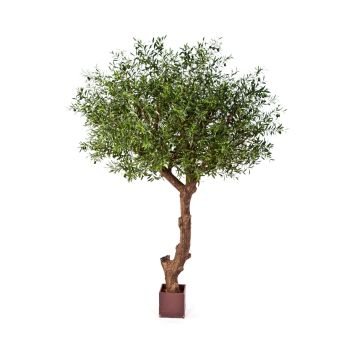 Olivo artificiale NIKOLAS, tronco naturale, frutti, verde, 270cm