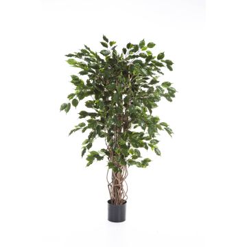 Albero di ficus artificiale AMELIO tronchi naturali, verde, 150cm