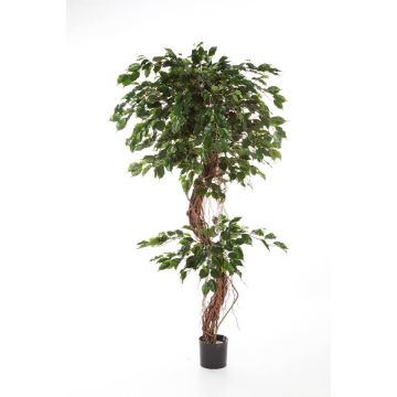 Ficus exotica artificiale LUANO, tronchi naturali, verde, 180cm