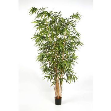Albero di bambù artificiale FUDO, tronchi naturali, verde, 240cm