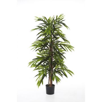 Albero longifolia artificiale AKUMO, tronchi veri, verde, 120cm