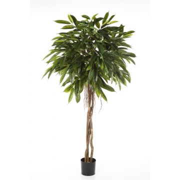 Longifolia artificiale DALIKA, tronchi naturali, verde, 180cm