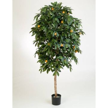 Arancio artificiale CELIA, tronco vero, con frutti, verde, 110cm
