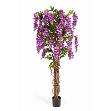 Glicine artificiale ARIANA, tronchi veri, con fiori, lilla, 180cm