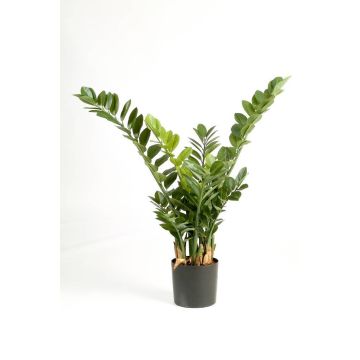 Zamioculcas artificiale AKONO, verde, 100cm