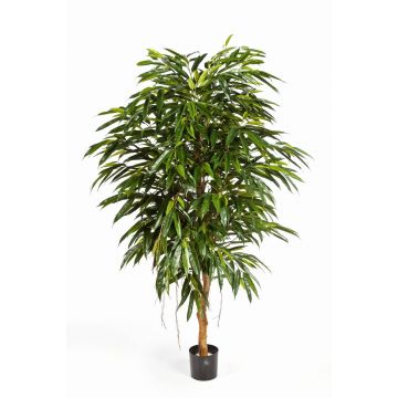 Longifolia regale artificiale HISA, tronco naturale, verde, 150cm