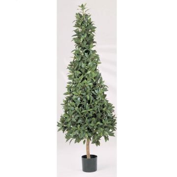 Alloro artificiale ANTONIUS, tronco naturale, verde, 110cm