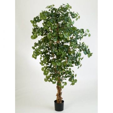 Albero di gingko artificiale JUAN, tronco naturale, verde, 210cm