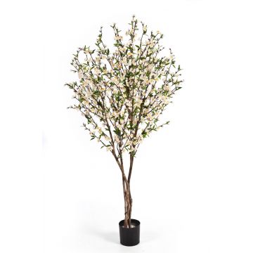 Ciliegio artificiale ZADAR, tronchi veri, fiori, bianco, 140cm