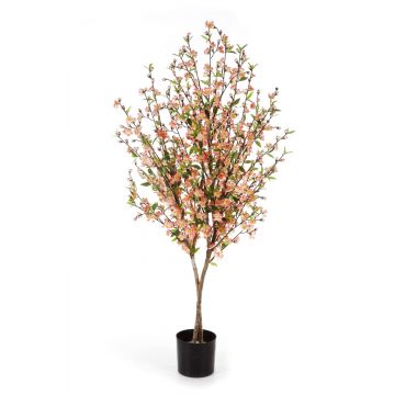 Ciliegio artificiale ZADAR, tronchi veri, fiori, rosa, 140cm