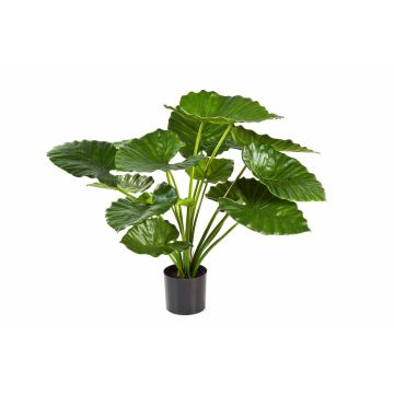 Pianta di alocasia sintetica SALONI, verde, 75cm