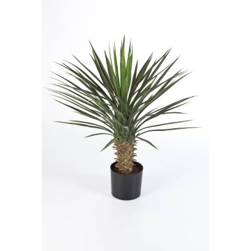 Palma yucca rostrata artificiale RAFFAELA, 80cm