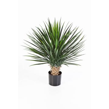 Palma yucca rostrata finta RAFFAELA, 80cm