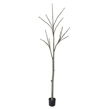 Tronco d'albero artificiale senza foglie YANING con rami, marrone-grigio, 270 cm