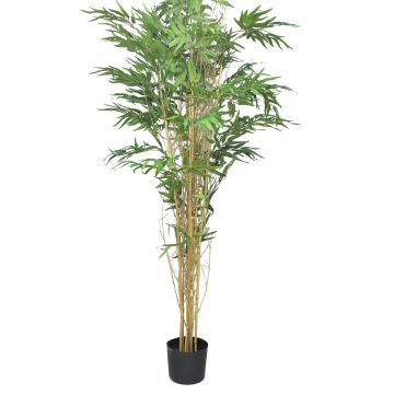 Albero artificiale di bambù WANNING, tronchi veri, 180 cm