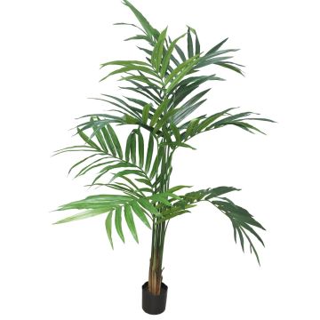 Palma artificiale Kentia LUXINA, 180 cm