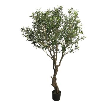 Albero di ulivo artificiale NINGMO, tronco artificiale, frutti, 200cm
