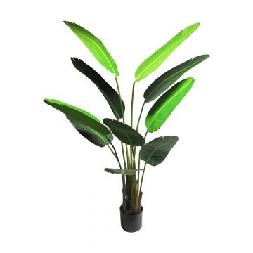 Strelitzia artificiale LUOROU, verde, 160cm