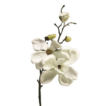 Magnolia di velluto YUNFAN, crema, 45 cm