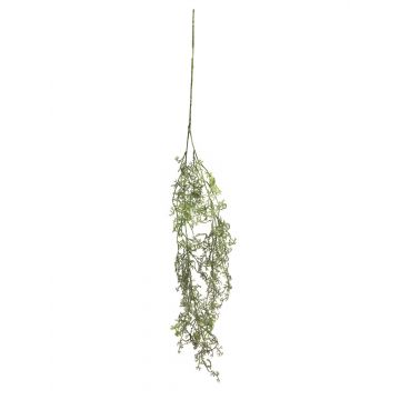 Ramo decorativo di Asparagus acutifolius CHENMU, verde-bianco, 100cm