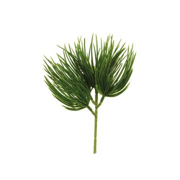 Ramo decorativo di pino TANNAN, 25 cm