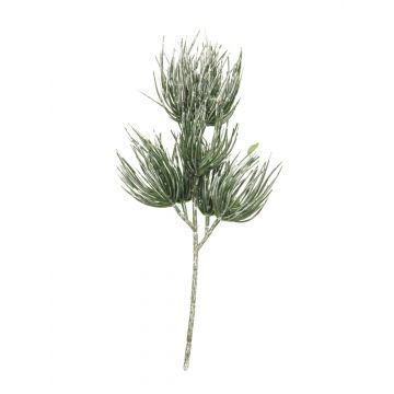 Ramo decorativo di pino TANNAN, innevato, 35 cm