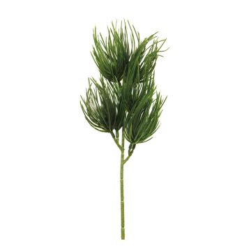 Ramo decorativo di pino TANNAN, 35 cm