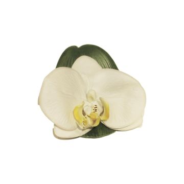 Orchidea Phalaenopsis decorativa CALIN, 6 pezzi, galleggiante, bianco, 11cm
