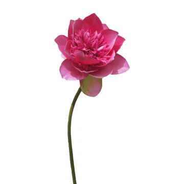 Fiore di loto artificiale MENGLIN, rosa, 50 cm
