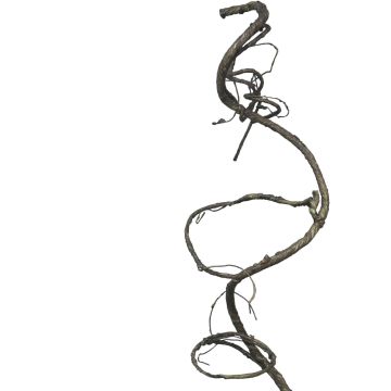 Liana di luppolo artificiale SULING, marrone, 90 cm