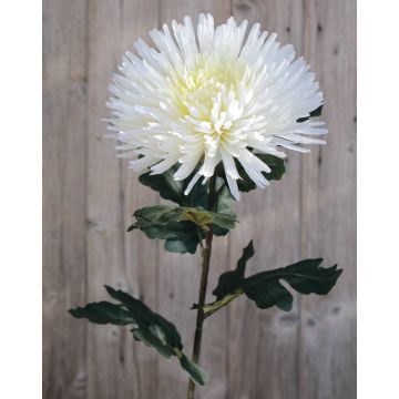 Crisantemo artificiale NANDOR, crema-bianco, 90cm, Ø18cm