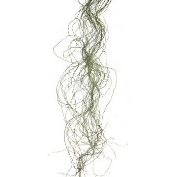 Erba artificiale di juncus effusus XINNUO, 48 foglie verdi, 150cm