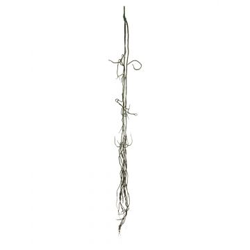 Liana di filodendro artificiale Monstera Deliciosa QINXI, stelo, nero, 110cm