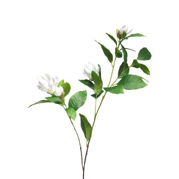 Ramo artificiale di magnolia HUANER, bianco, 130 cm