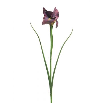 Iris artificiale LIANYA, viola, 60 cm