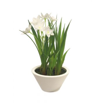 Narciso di plastica XISHAN in fioriera, bianco, 18 cm