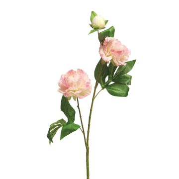 Ramo decorativo di peonia YILING, rosa-bianco, 65cm
