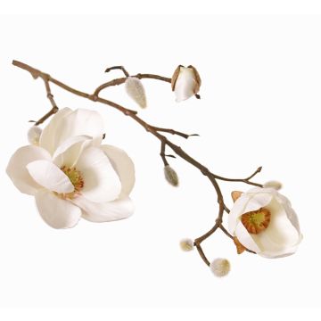 Magnolia artificiale KOSTAS, crema, 55cm, Ø5-8cm
