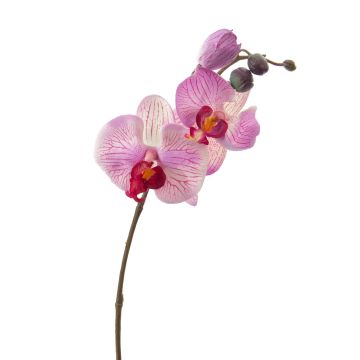 Phalaenopsis artificiale VANESSA, rosa-fucsia, 30cm, Ø2-8cm