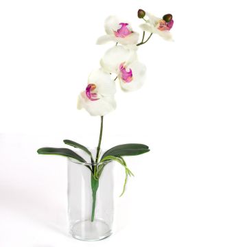 Orchidea artificiale MADOU su gambo, bianco-rosa, 40cm, Ø8-9cm