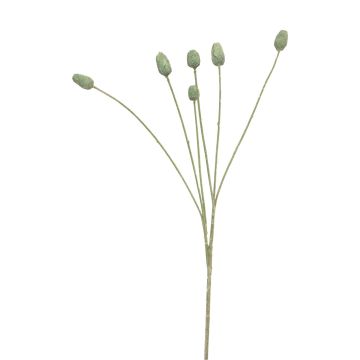Ramo artificiale di cardo SUANYI, verde, 65 cm