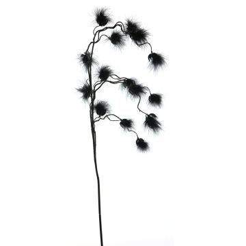 Ramo decorativo di erba di cotone ZICAN con pannocchie, nero, 105cm