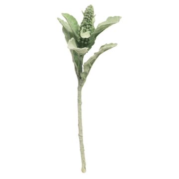 Bupleurum artificiale CHENYE, verde, 35cm