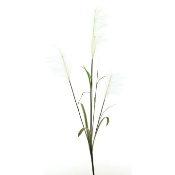 Ramo artificiale di erba della pampa LINEN con pannocchie, bianco, 145 cm