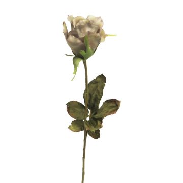 Rosa artificiale HUINA, beige-viola, 60 cm