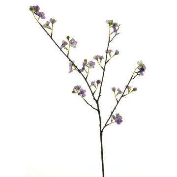 Ramo decorativo di fiori di pero NANLING con fiori, viola, 85 cm