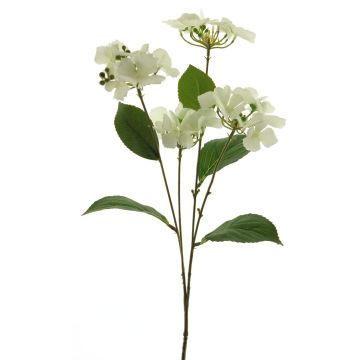 Ortensia artificiale PINNIAN, bianco, 70 cm