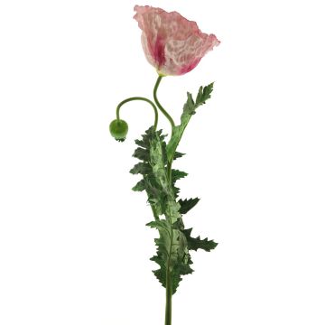 Papavero decorativo MIANCUI, rosa, 100 cm